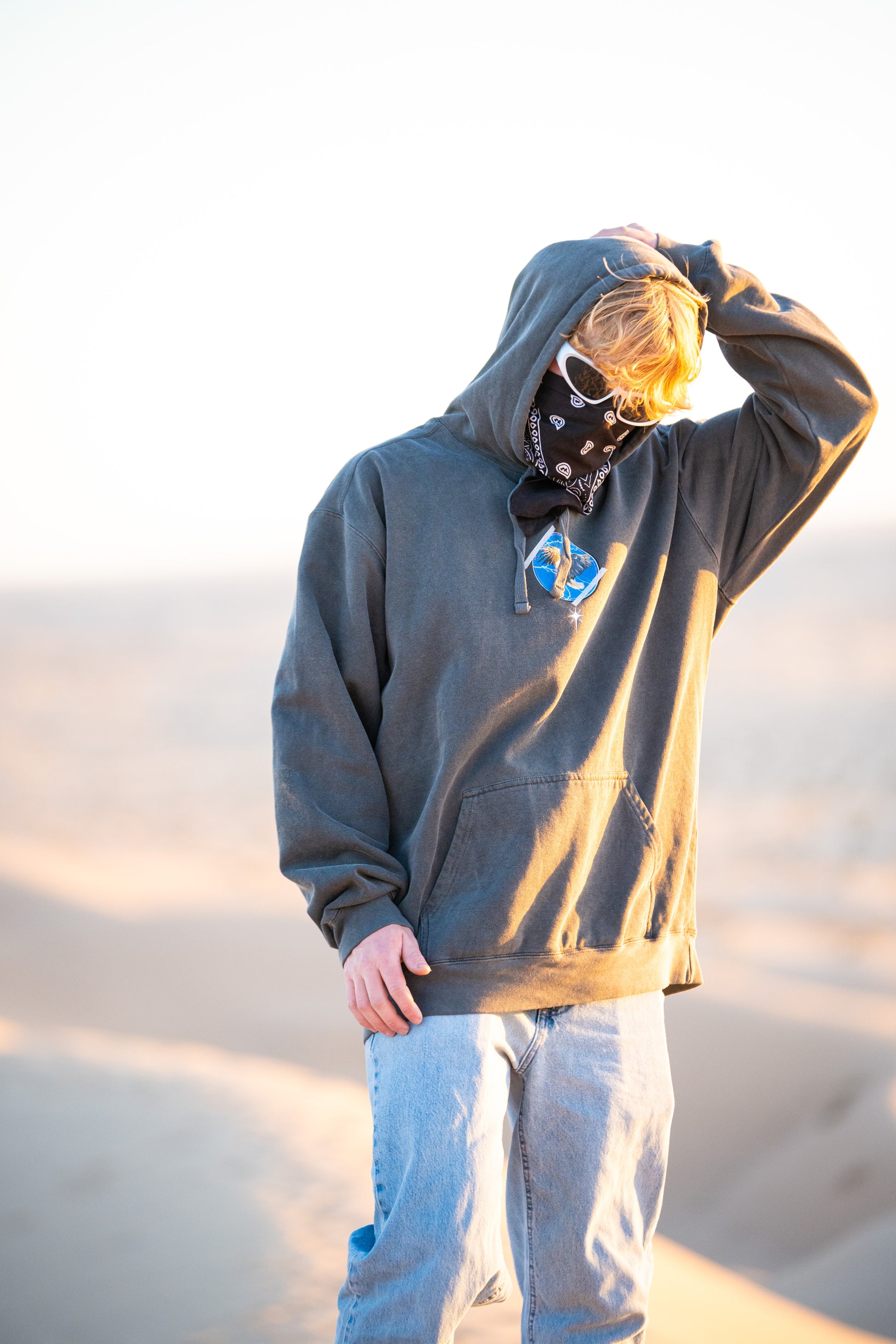 Travis Scott x Compass "Birds in the Trap Sing McKnight " V1 Hoodie