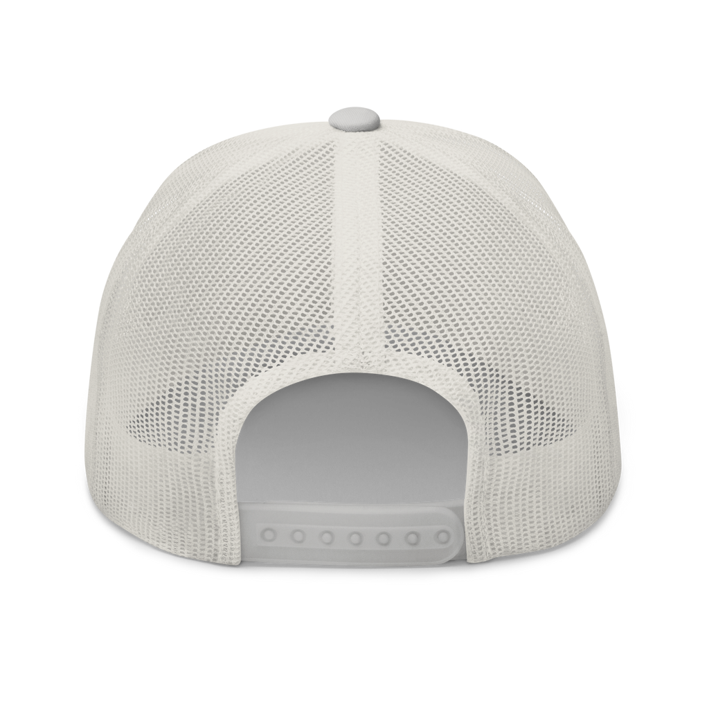 Compass Brainbow Mesh Cap (Grey)